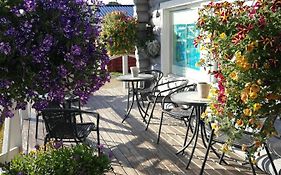 Skoganvarre Villmark